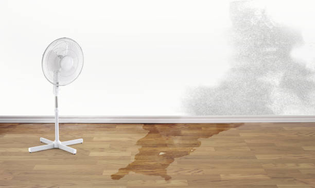 Best Water damage restoration mold remediation  in King, NC