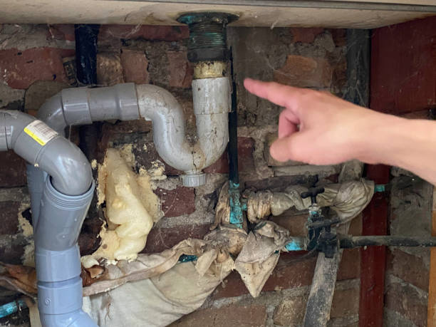Best Basement water damage restoration  in King, NC