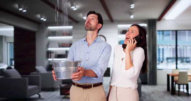 Best Water damage restoration experts  in King, NC